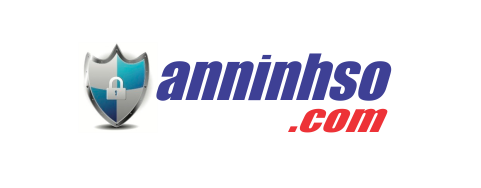 An Ninh Số logo